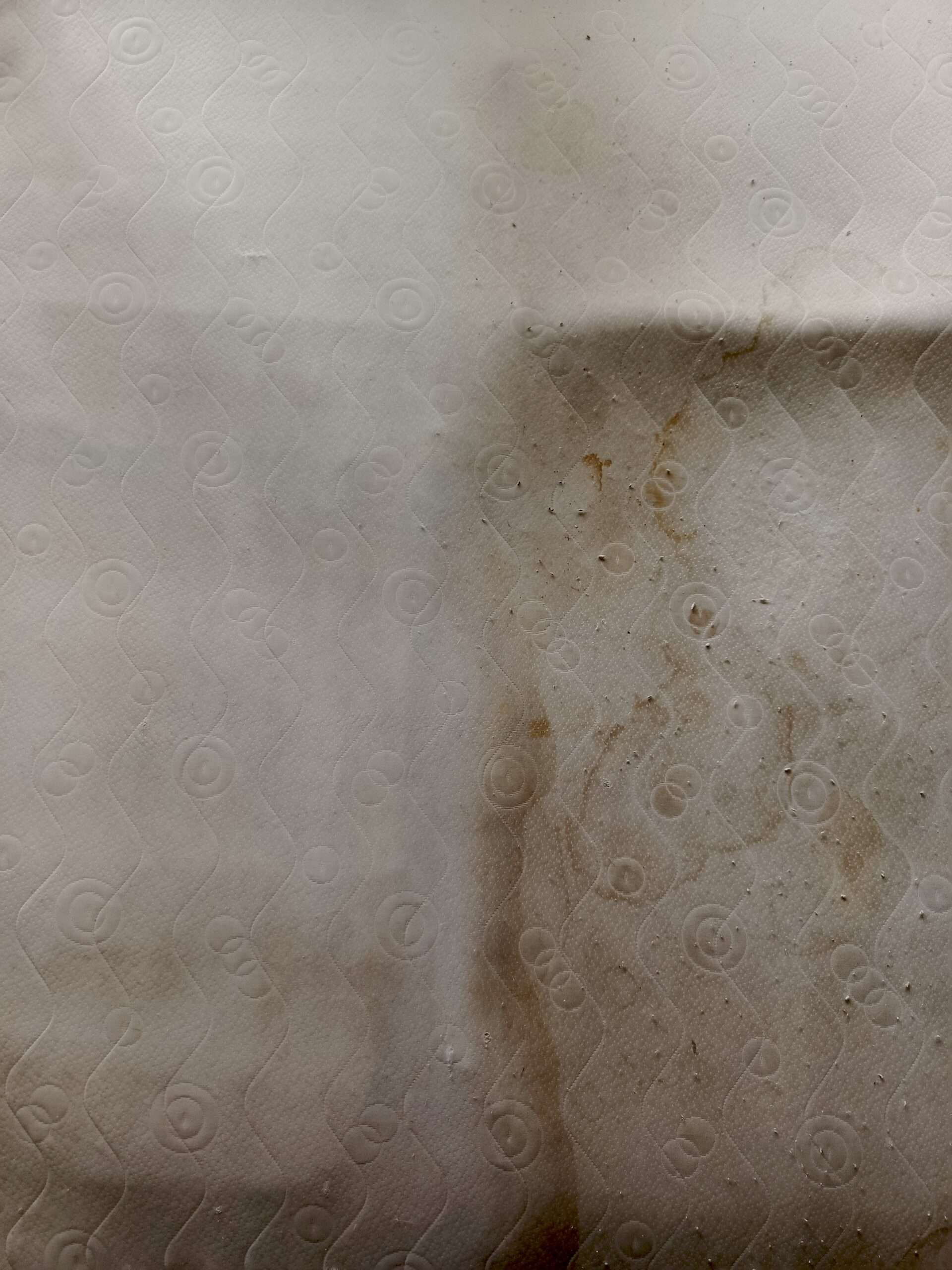 Porównanie przed i po – usuwanie plam z moczu z materaca Warszawa Cleaner Mix